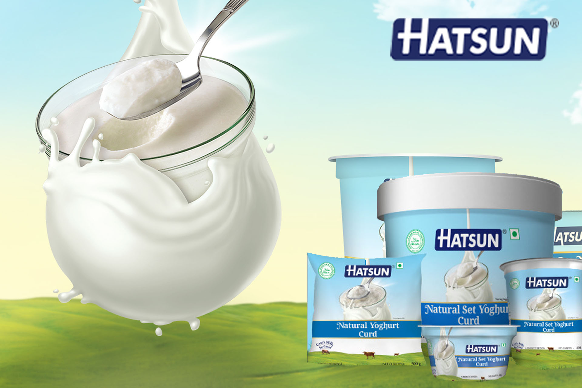 Hatsun Curd